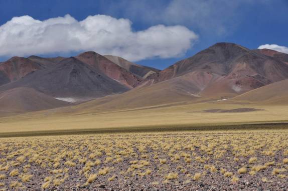 A magnífica paisagem do lado argentino do Paso San Francisco, na região de Fiambala, a caminho do Chile